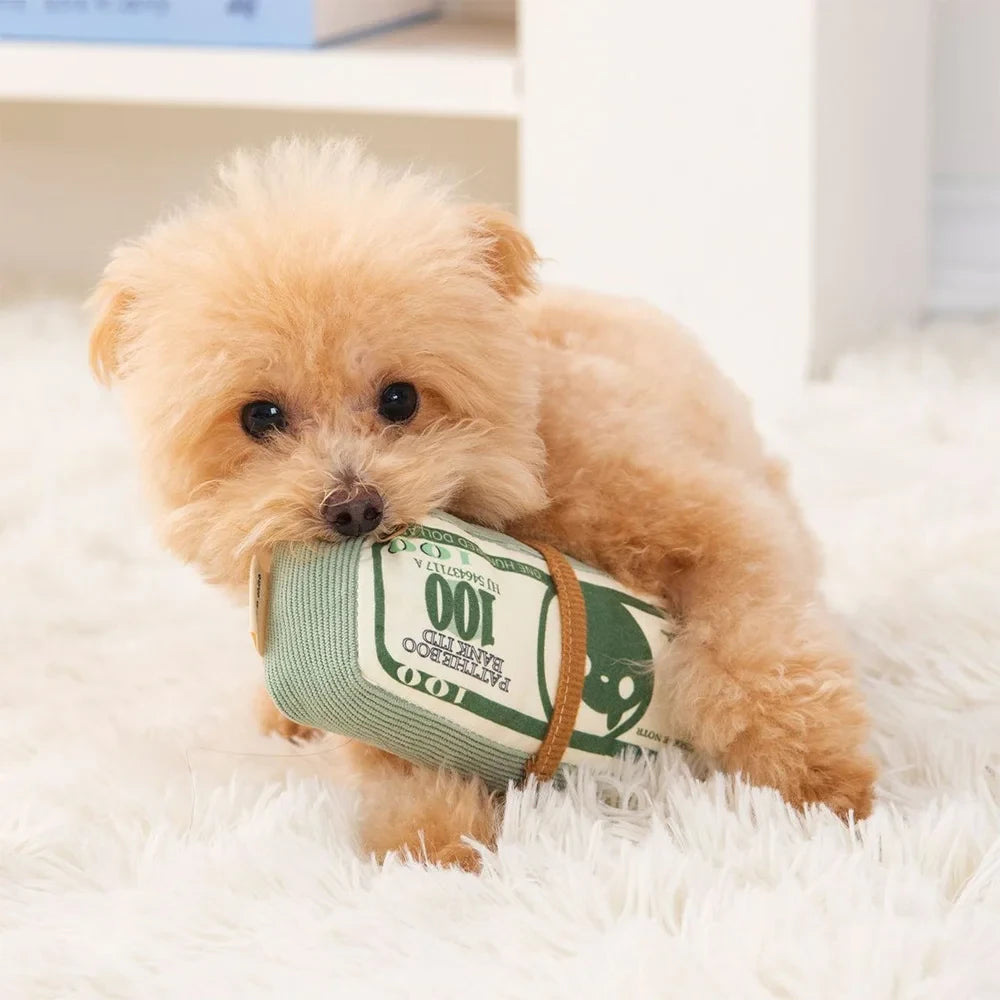Cash Stack Squeaky Puppy Toy