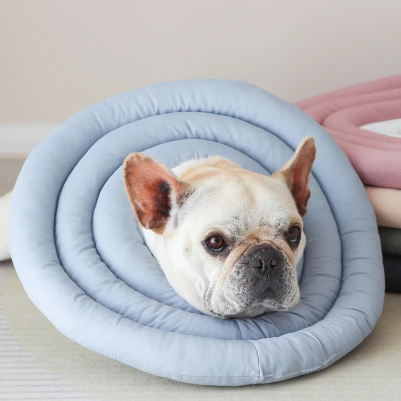 CloudComfort Recovery Collar